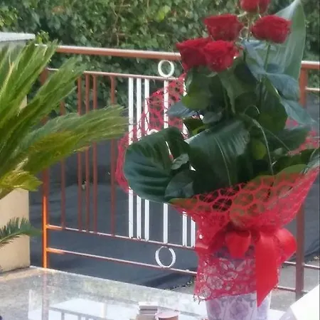 Ξενοδοχείο Casablanca